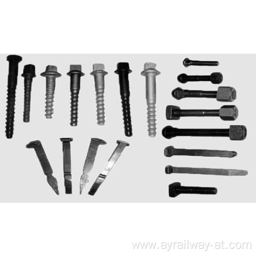 Screw spike for Railway fastener